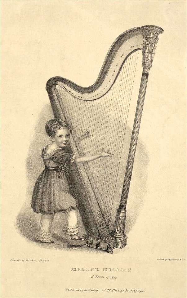 Portrait of Master Hughes (4670929)