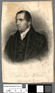 Portrait of John Williams (4673909)