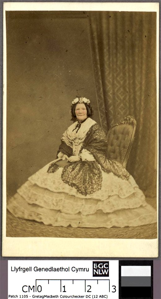 Portrait of Maria Jane Williams of Aberpergwm and Ynyslas (Vale of Neath) (4671462)