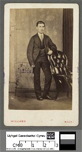 Portrait of W. T. Rowlands (of Tanycoed, Rhydywernen, Merionethshire) (4671154)