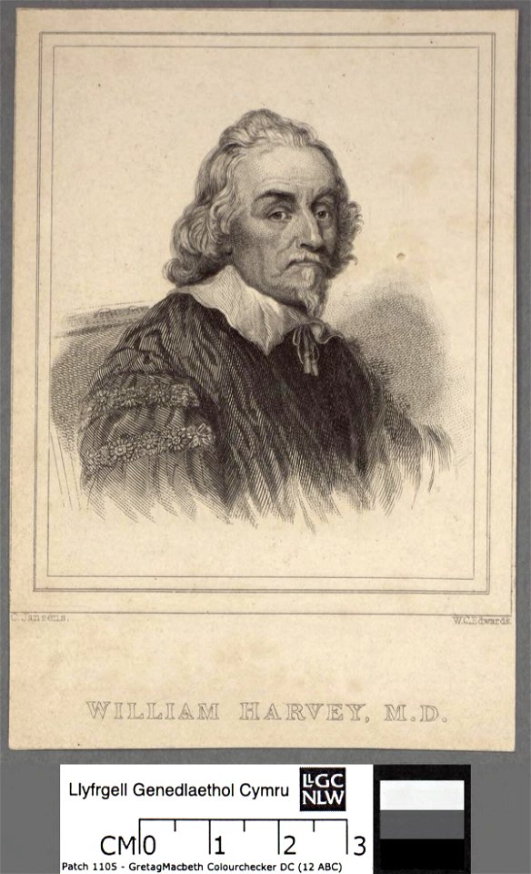 Portrait of William Harvey, M.D (4672896)