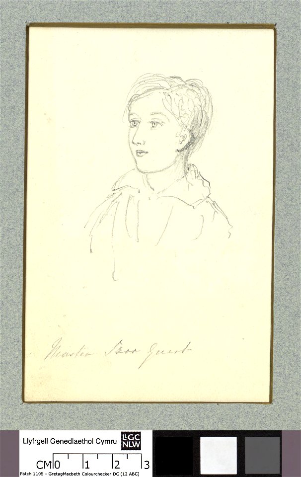Portrait of Masters Ivor and Merthyr Guest (4671013)