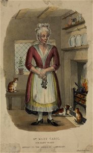 Portrait of Mrs. Mary Carol (4671349)