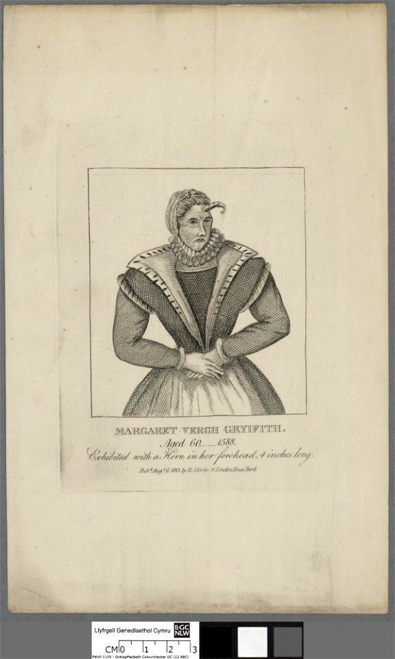 Portrait of Margaret Vergh Gryiffith aged 60 1588 (4669772)