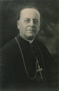 Portrait, cardinal (HS85-10-31817)
