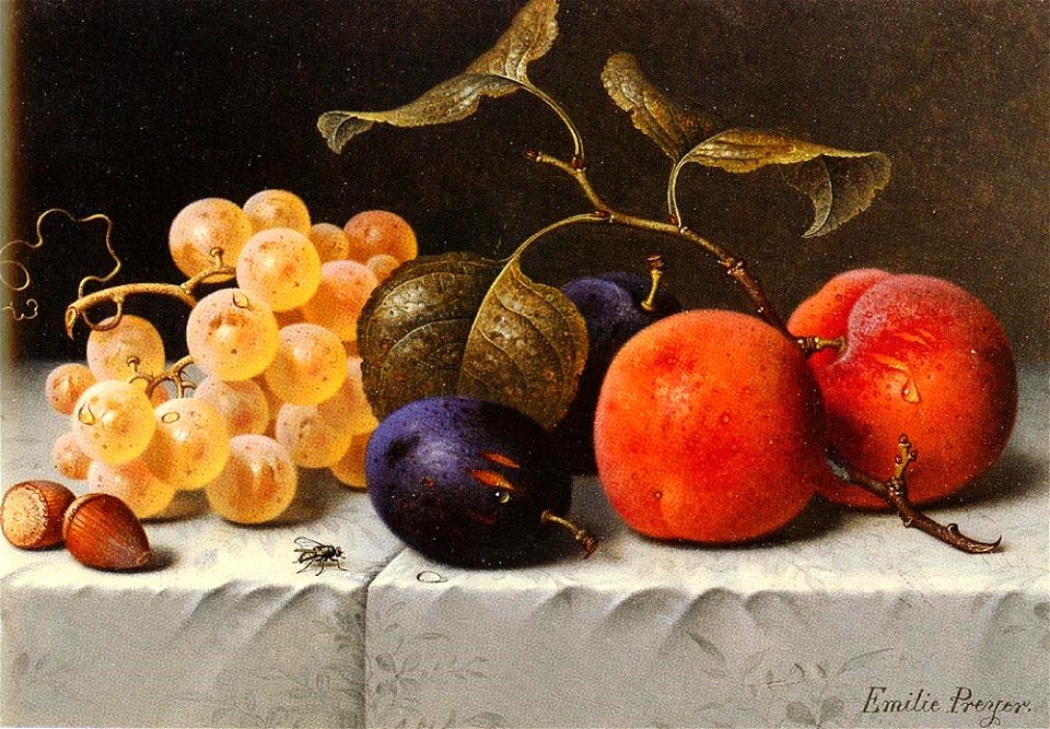 Emilie Preyer - Pflaumen, Apricosen, Trauben, Haselnüsse und eine Fliege