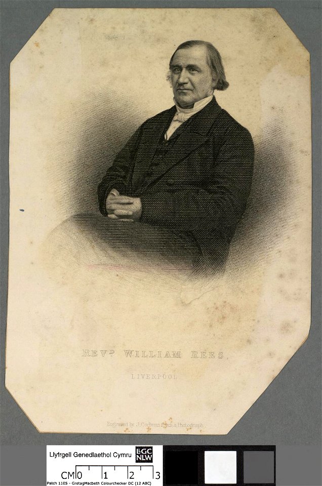Portrait of William Rees (4669903)