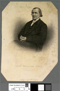 Portrait of William Rees (4669903)
