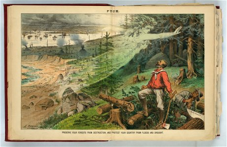 Preserve your forests from destruction, and protect your country from floods and drought - J. Keppler. LCCN2012645164