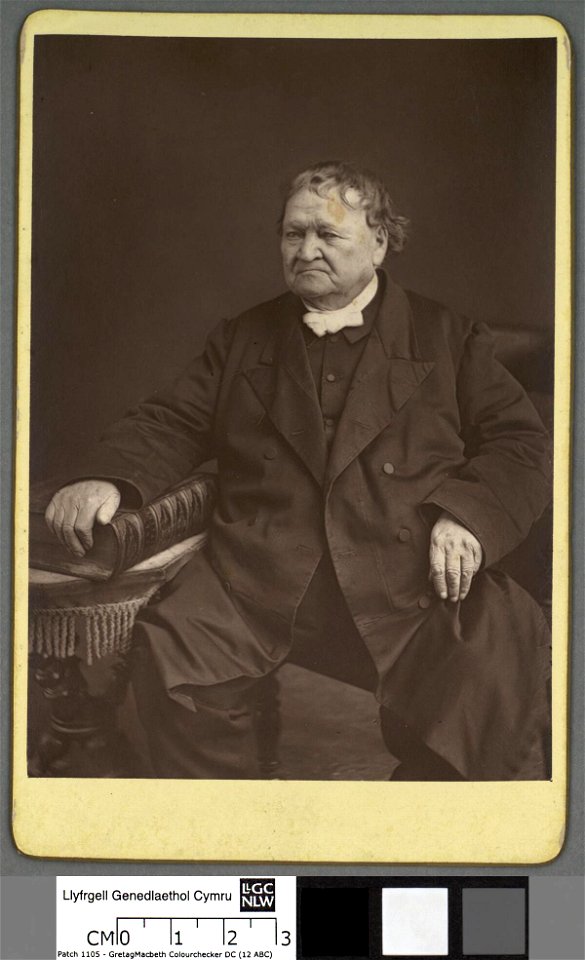 Portrait of Yr Hen Bryderch (4670465)