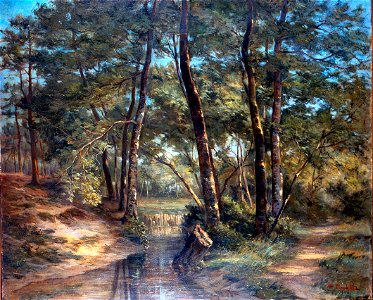 Pradelles Hippolyte - Sous-bois b