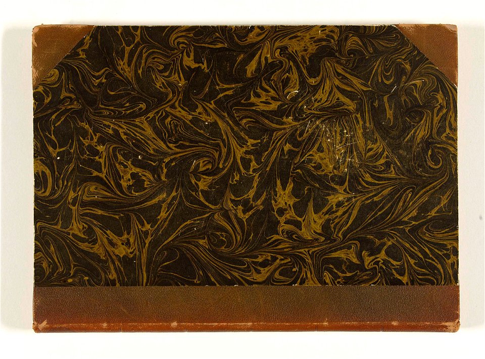 Prentenalbum van Bairei met bloemen en vogels