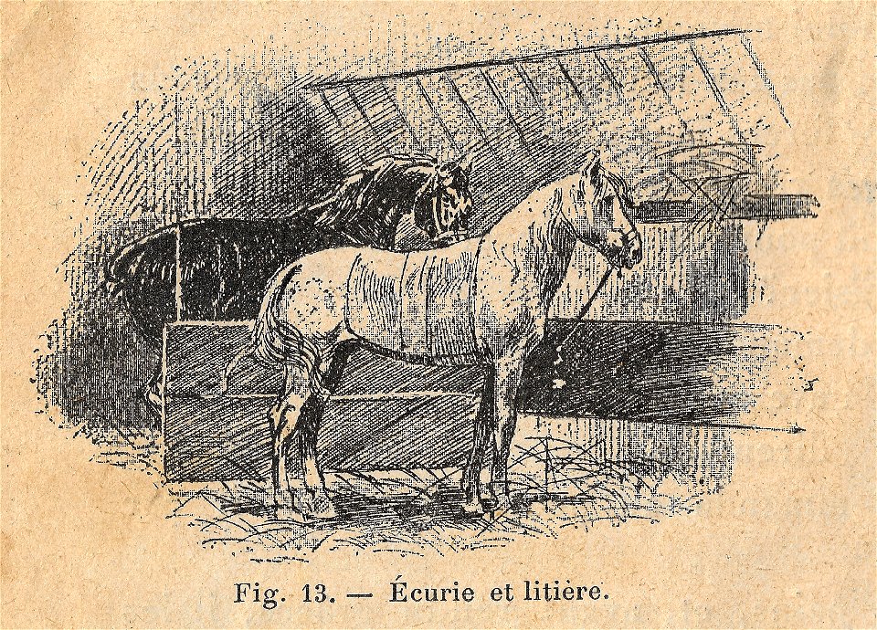 Premières Leçons de choses usuelles - fig13