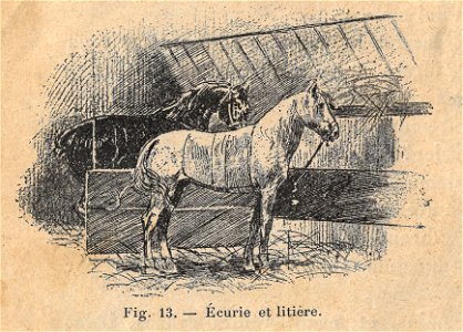 Premières Leçons de choses usuelles - fig13