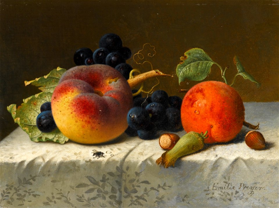 Emilie Preyer - Still life with Peach, Apricot, Grapes and Hazelnuts on a tablecloth (1907)