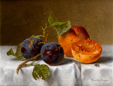 Emilie Preyer - Pflaumen und Aprikosen
