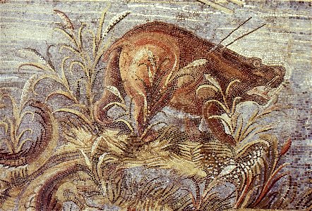 Praeneste - Nile Mosaic - Section 18 - Detail