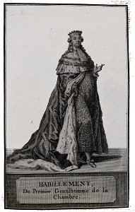 Premier gentilhomme Louis XVI Patas06097
