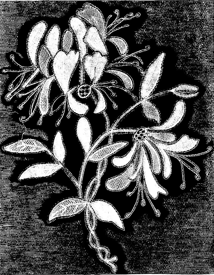 PSM V08 D556 Honeysuckle sprig of modern honiton