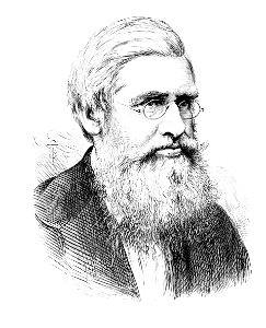 PSM V11 D140 Alfred Russel Wallace