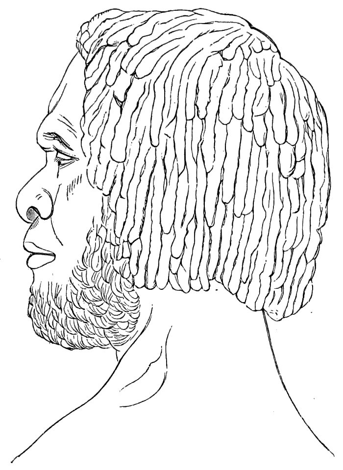 PSM V18 D771 Bust of a tasmanian