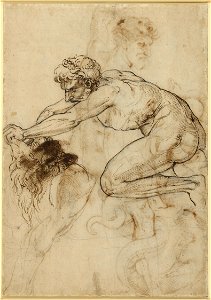 Raphael - Verso Hercules and the Nemean Lion c.1508, RCIN 912758