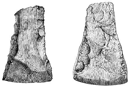 PSM V01 D223 Flint hatchets