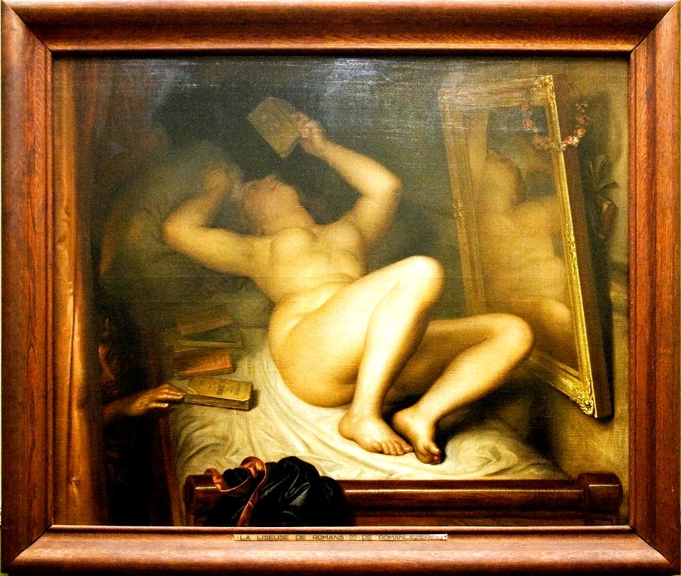 Reader of novels