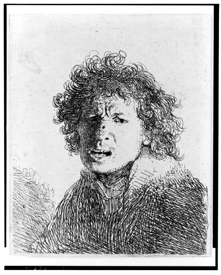 Rembrandt angry, bust LCCN2004665145