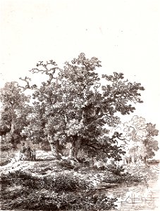 Remigius Adrianus van Haanen 067 (40407123862)