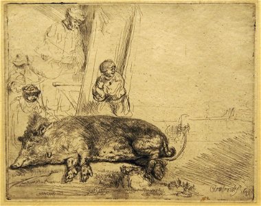 Rembrandt The hog01