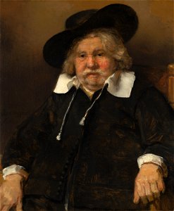 Rembrandt van Rijn - Portrait of an Elderly Man - 1118 - Mauritshuis. Free illustration for personal and commercial use.