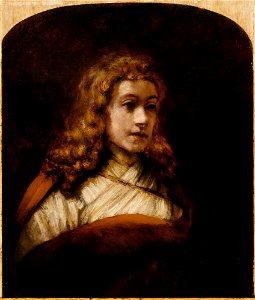 Rembrandt Harmensz van Rijn - Bust of a Youth - 68.301 - Detroit Institute of Arts. Free illustration for personal and commercial use.