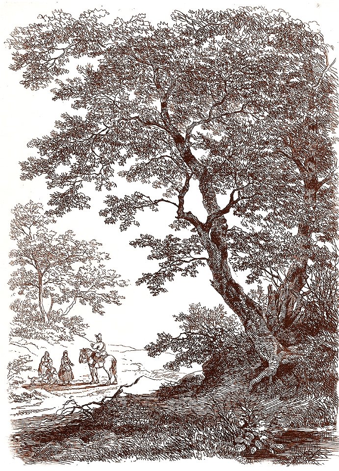 Remigius Adrianus van Haanen 094 (40450926011)