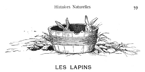 Renard - Histoires naturelles, 1909-61-1