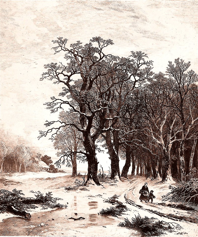 Remigius Adrianus van Haanen 098 (40450923921)