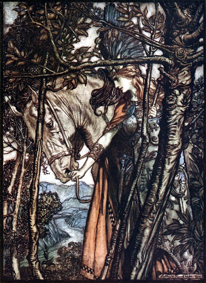 Rhinegold and the Valkyries p 110