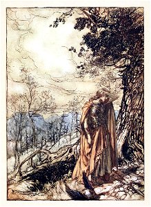 Rhinegold and the Valkyries p 118