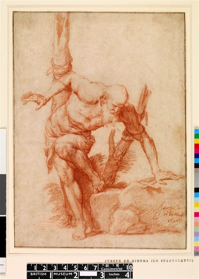 Ribera - A saint tied to a tree, 1850,0713.4