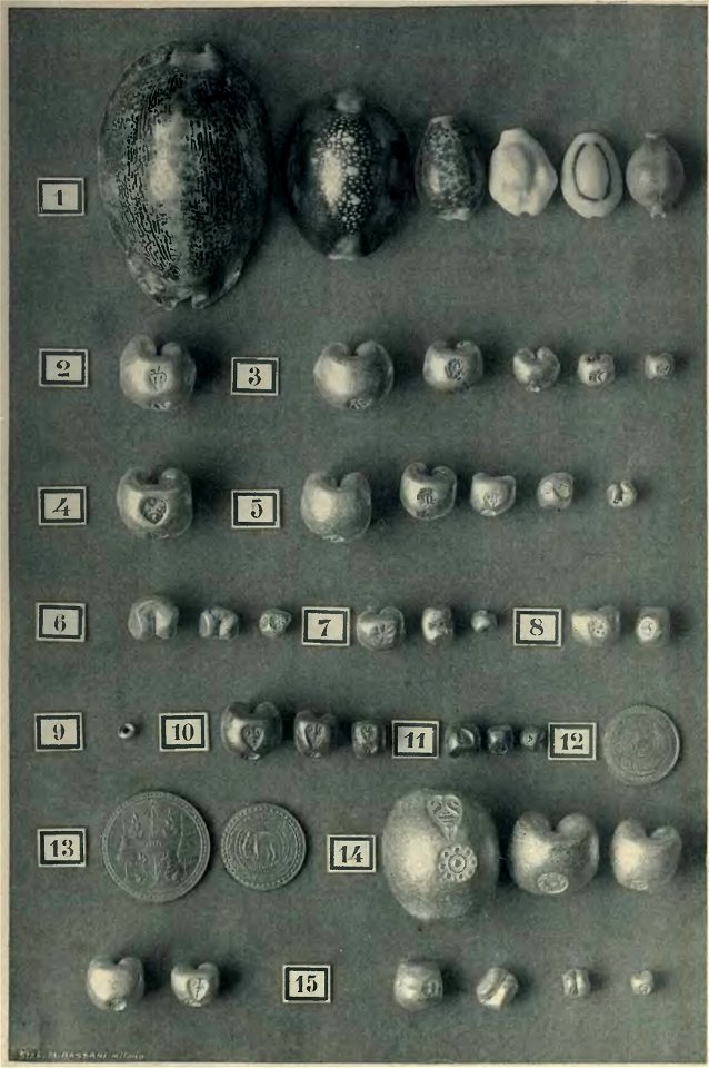 Rivista italiana di numismatica 1898 - Tavola IV (page 651 crop)