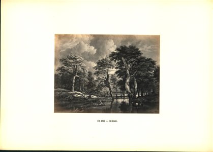 Robert Eich Prachtalbum Die Jagd von Ruisdael