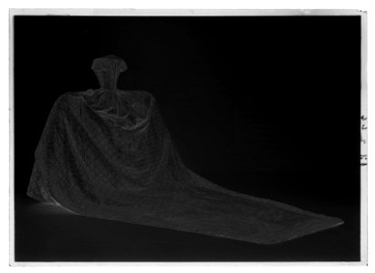 Robe de cour kröningsklänning - Livrustkammaren - 18534-negative