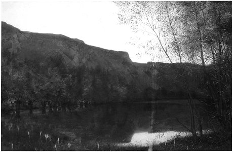 Robert Barrett Browning - Solitude - 82.232 - Museum of Fine Arts