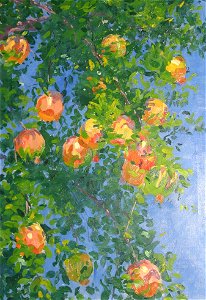 Robert David Gauley - Pomegranates, Granada - 1917.137 - Fogg Museum