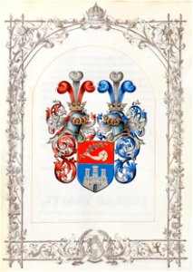 Ritterstandsdiplom - Visini 1870 - Wappen