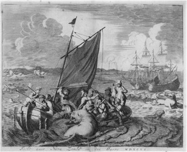 Robbenschlag (1680) 01