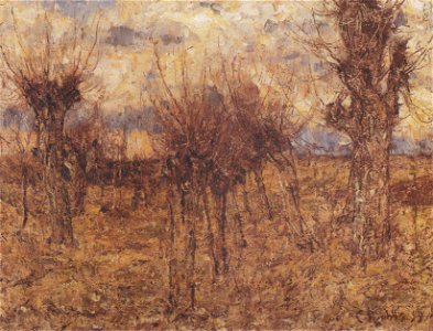 Rohlfs - Weiden, 1899