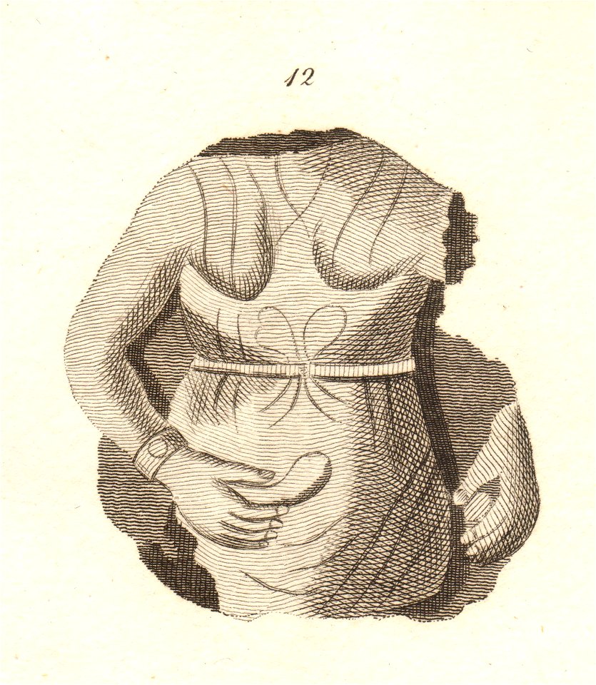 Roman Antiquities at Castlesteads in Cumberland Figure 12
