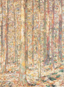 Rohlfs - Kiefernstämme im Sonnenlicht, ca1903