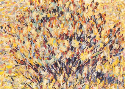 Rohlfs - Wicken, 1907